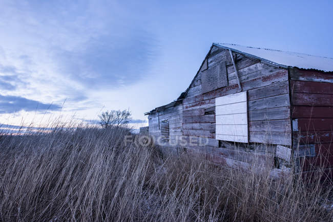 An old shed sits in twilight — Stock Photo