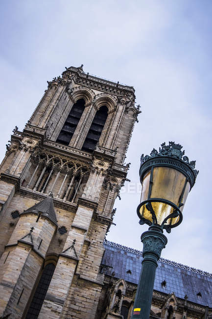 Notre Dame Cathedral — Stock Photo