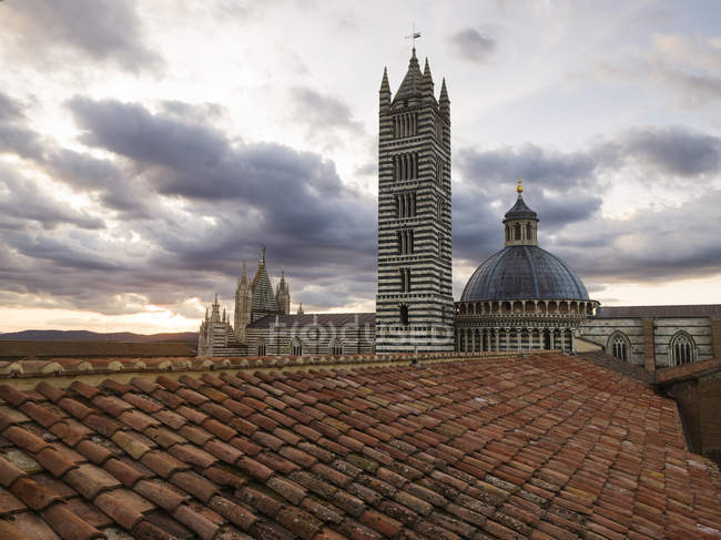 Torre de Catedral de Siena - foto de stock