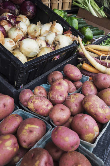 Pommes de terre rouges et autres produits — Photo de stock