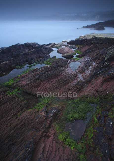 Neblige Küste rund um Roches Point — Stockfoto