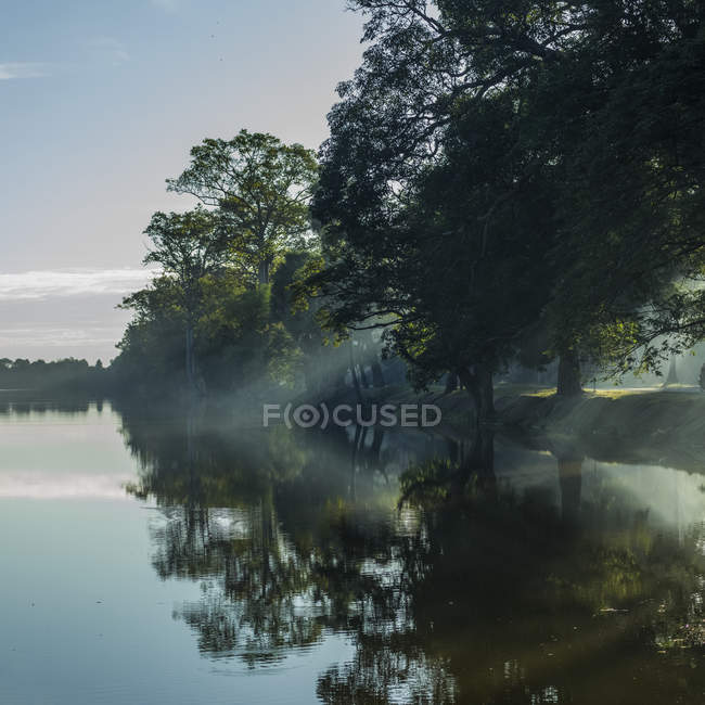 El agua tranquila refleja los árboles - foto de stock