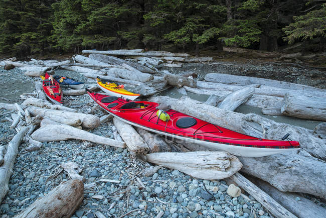Kayaks se encuentran en la costa - foto de stock