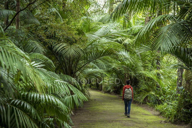 Rückansicht einer Frau, die im botanischen Park terra nostra spaziert, Hochöfen, Sao Miguel, Azoren, Portugal — Stockfoto