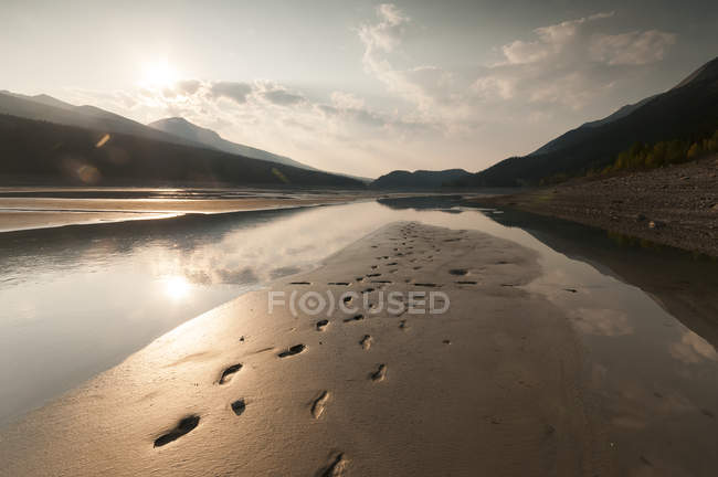 Empreintes de pas dans le sable humide — Photo de stock