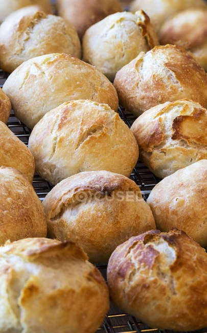 Close up de pães crostas redondos no rack de resfriamento de arame — Fotografia de Stock