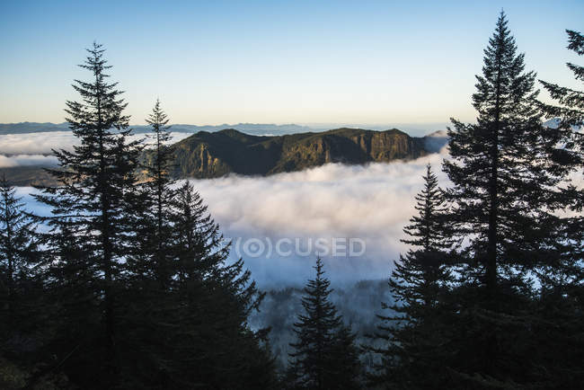 Le brouillard remplit les vallées en dessous — Photo de stock