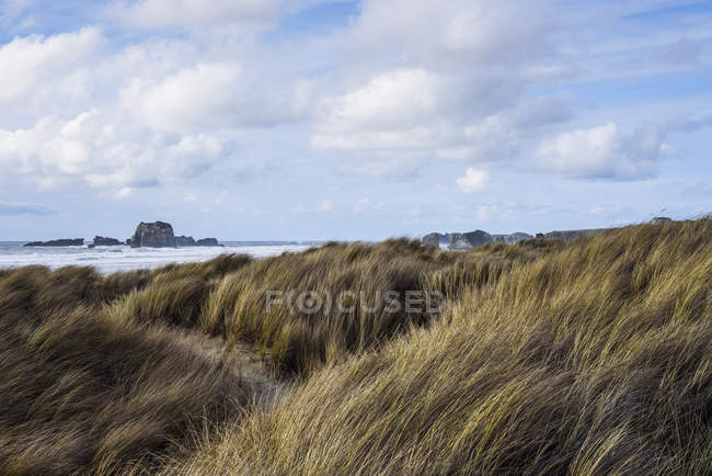 Scena lungo la costa — Foto stock