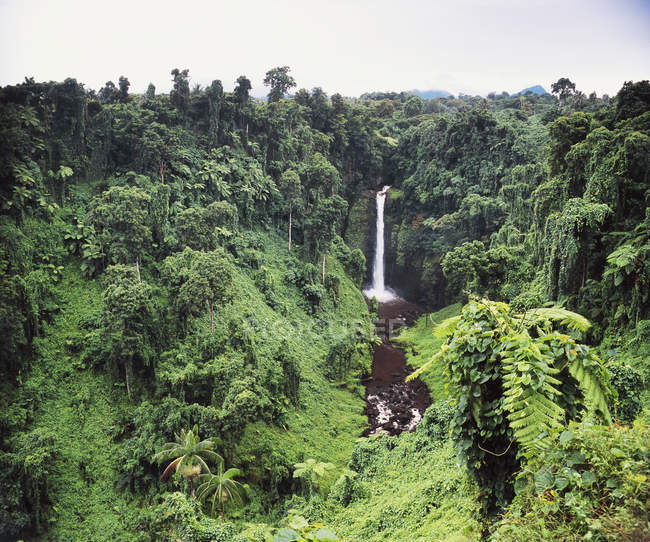 Sopo'aga Falls among trees — Stock Photo