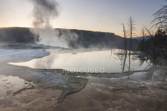 Steam rises at dawn at Mammoth Hot Spring — Stock Photo
