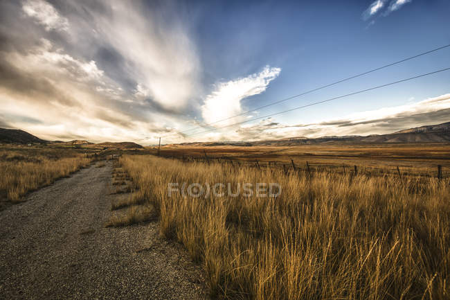 Grass growing along road — Stock Photo
