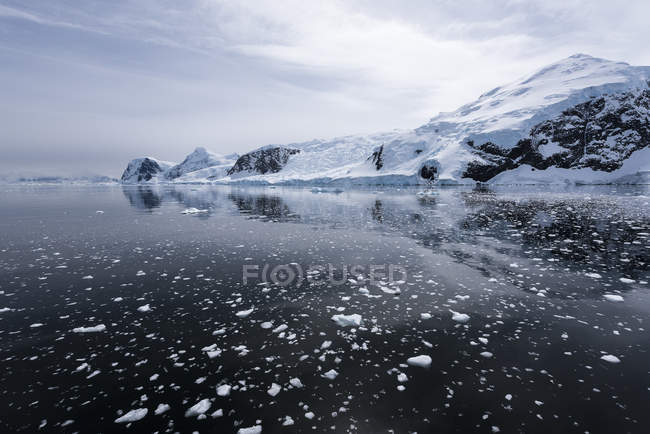 Brash ice and reflections; Antarctica — Stock Photo