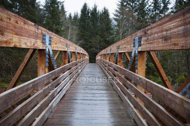 Puente sobre Fish Creek en Douglas Island - foto de stock