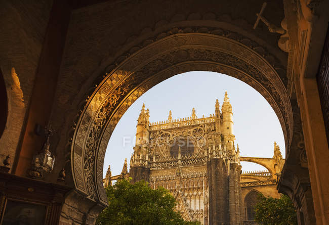 Seville Cathedral during daytime — Stock Photo