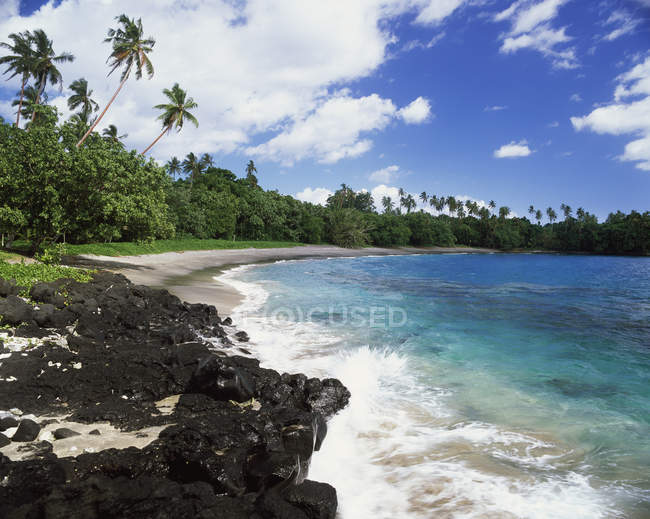 Песчаный пляж с деревьями — стоковое фото