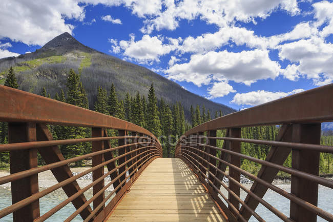 Ponte sul fiume Kootenay — Foto stock