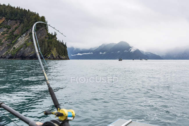 Vara de pesca dobra-se como alabote atinge — Fotografia de Stock