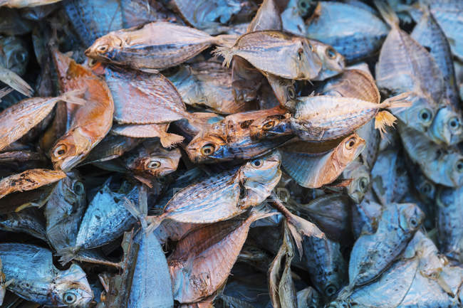 Peixes secos para venda — Fotografia de Stock