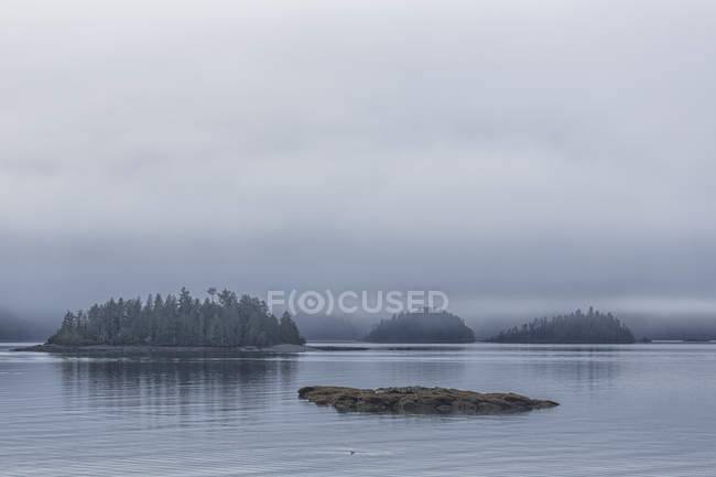 Small islands covered with trees — Stock Photo
