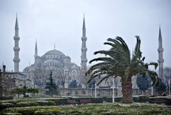Mezquita azul en invierno - foto de stock