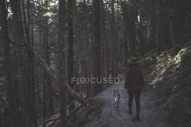 Frau wandert mit ihrem Hund auf einem Waldweg, Gürtelholz, Südzentralalalaska — Stockfoto