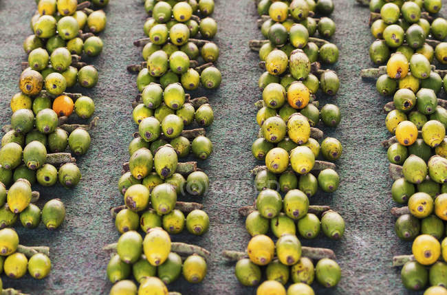 Betel nuts for sale — Stock Photo