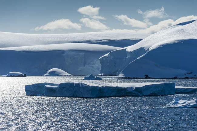 Перегляд Антарктичний льодовиковий — стокове фото