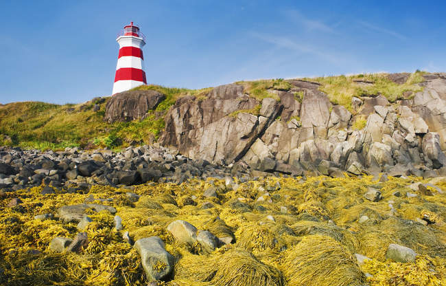 Low tide at Brier Island Lighthouse — Stock Photo