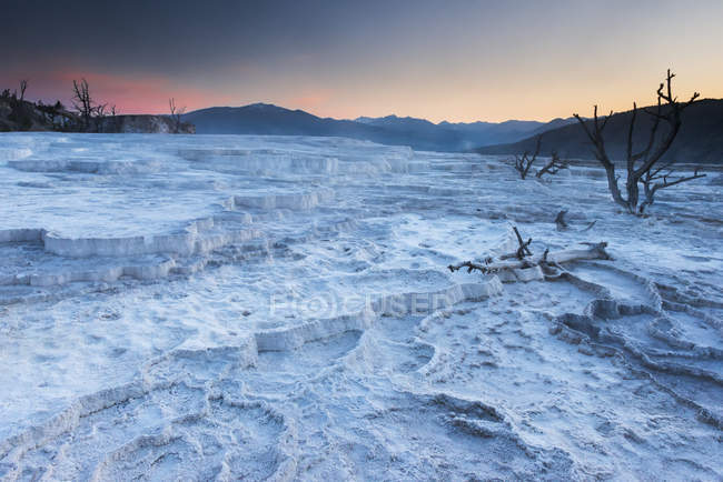 Dawn at the Mammoth Hot Spring Terras — стоковое фото