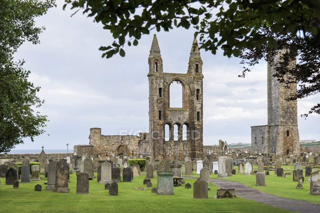 Catedral de St. Andrews - foto de stock