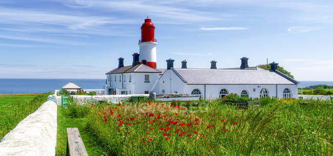 Souter Lighthouse with field of red poppies — Stock Photo
