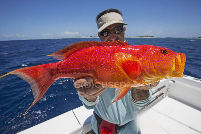 Pescatore in barca che detiene pesce fresco pescato rosso e arancione — Foto stock