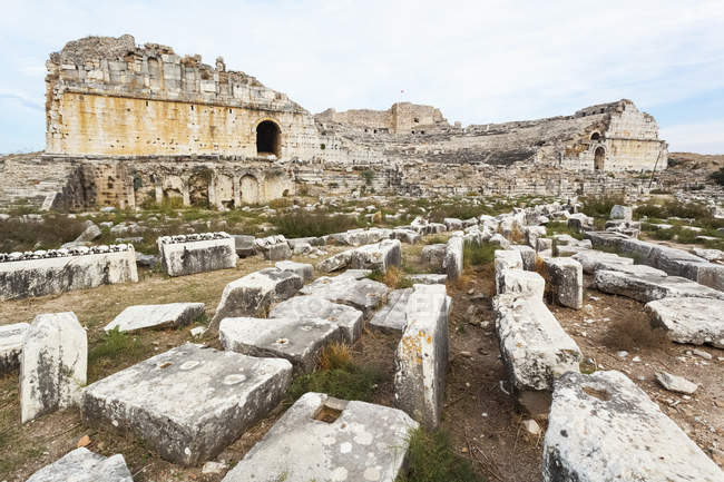 Ruins of amphitheatre on field — Stock Photo