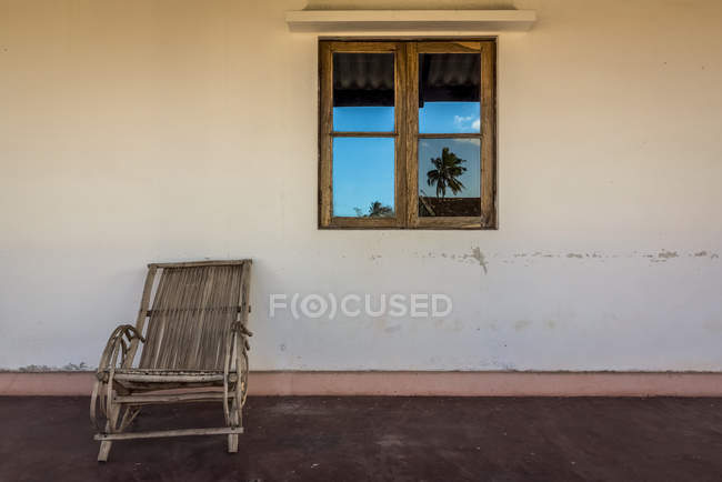 Palm tree reflected on window — Stock Photo