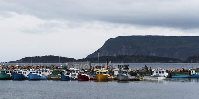 Boats moored in harbour — Stock Photo