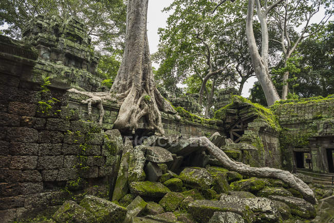 Impresionante templo en Angkor área - foto de stock