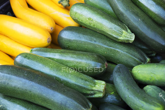 Reife Zucchini zum Verkauf — Stockfoto