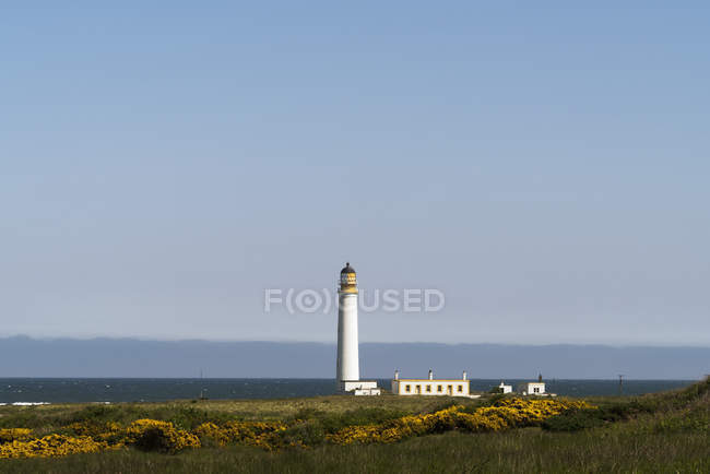 Lighthouse on shore with grass — Stock Photo