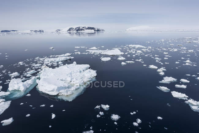 Trozos de hielo de iceberg - foto de stock