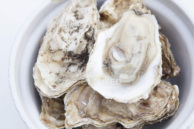 Austernschalen in Schale vor weißem Hintergrund — Stockfoto