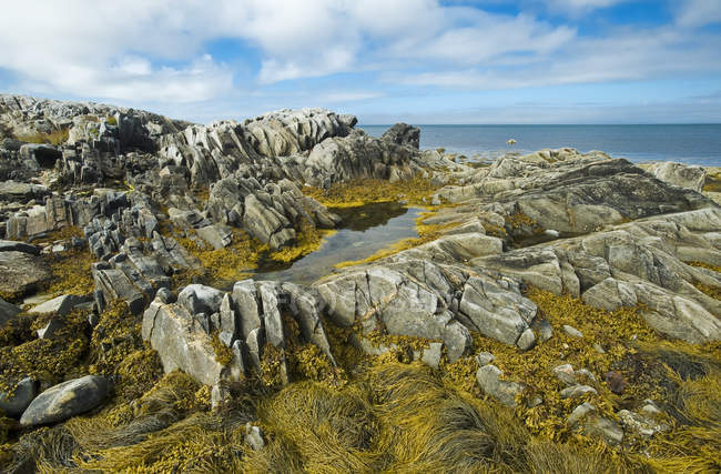 Shoreline lungo baia con rocce — Foto stock