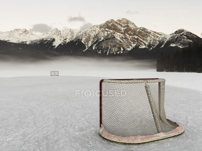 Хоккейная сетка на замёрзшем озере — стоковое фото