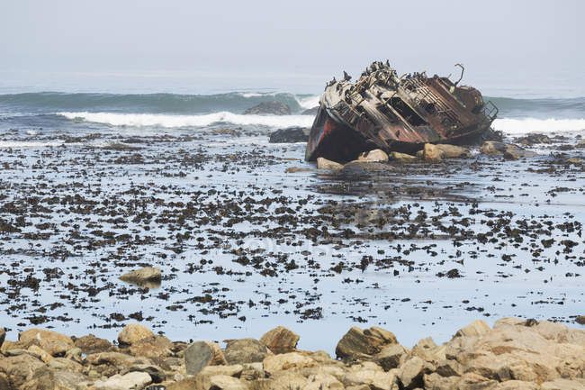 Naufrágio ao longo da costa sul-africana — Fotografia de Stock