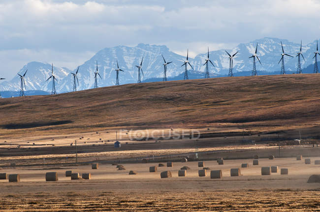Turbinas eólicas en hilera - foto de stock