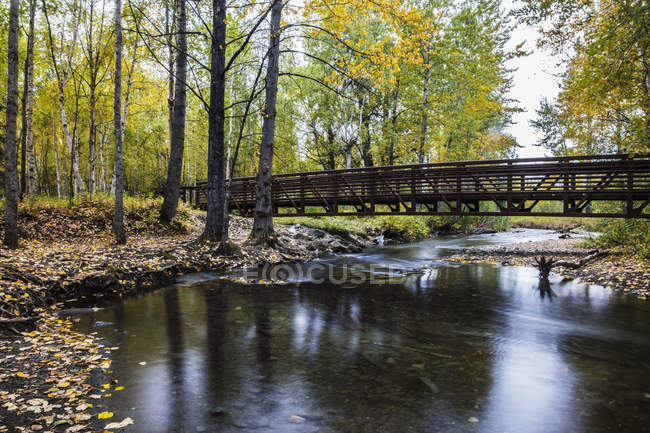 Autumn scenic of Creek — Stock Photo