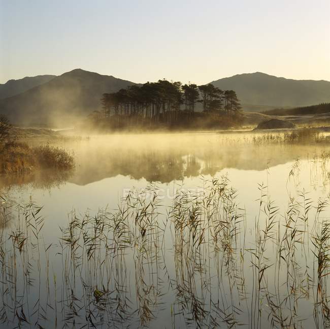 Mist Rising Off A Lake — Stock Photo