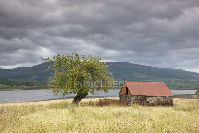 Hütte, Hochland, Schottland — Stockfoto