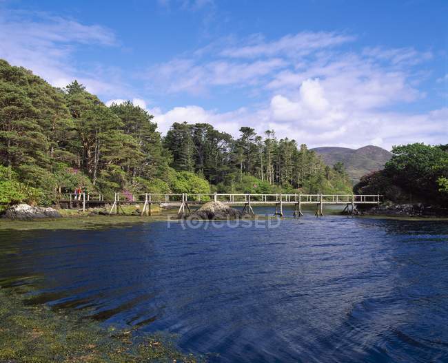 Ponte pedonale in legno per l'isola — Foto stock