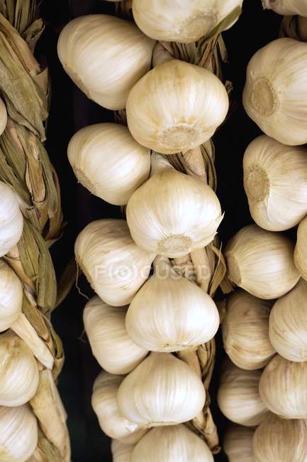 Fresh garlic heap hanging on ropes — Stock Photo