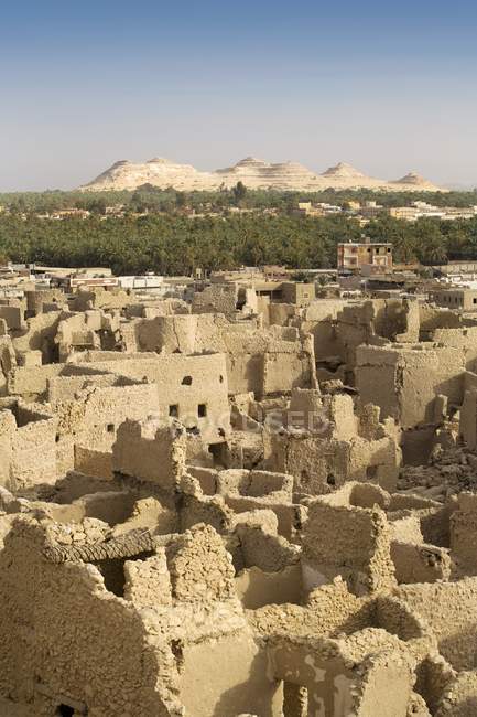 Shali-Festung mit Bäumen — Stockfoto